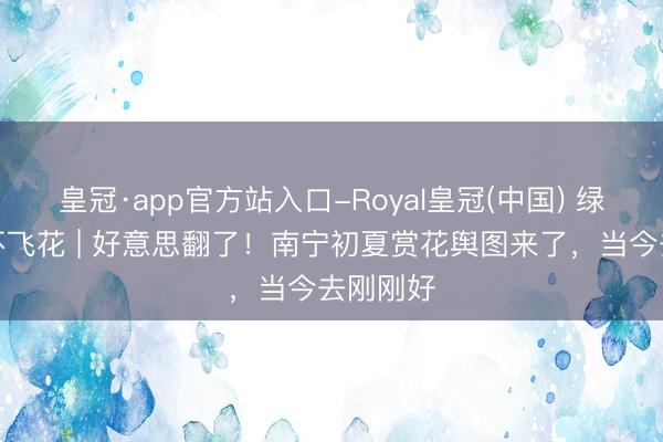 皇冠·app官方站入口-Royal皇冠(中国) 绿城无处不飞花 | 好意思翻了!南宁初夏赏花舆图来了,当今去刚刚好