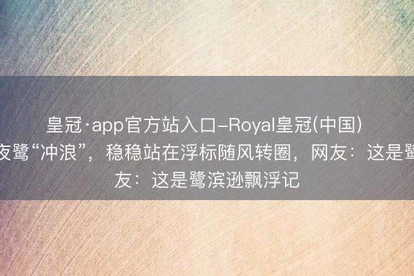皇冠·app官方站入口-Royal皇冠(中国) 公园里偶遇夜鹭“冲浪”,稳稳站在浮标随风转圈,网友:这是鹭滨逊飘浮记