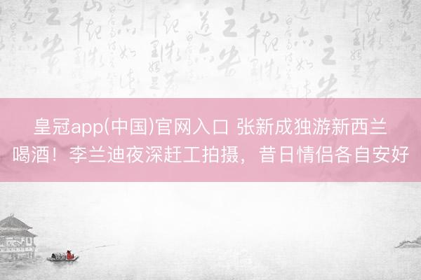 皇冠app(中国)官网入口 张新成独游新西兰喝酒!李兰迪夜深赶工拍摄,昔日情侣各自安好