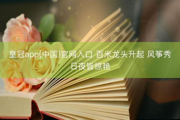 皇冠app(中国)官网入口 百米龙头升起 风筝秀日夜皆惊艳
