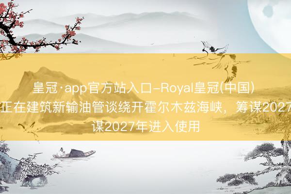 皇冠·app官方站入口-Royal皇冠(中国) 阿联酋据悉正在建筑新输油管谈绕开霍尔木兹海峡，筹谋2027年进入使用