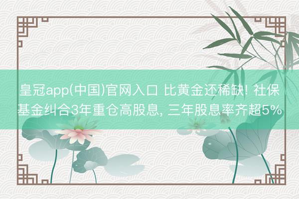 皇冠app(中国)官网入口 比黄金还稀缺! 社保基金纠合3年重仓高股息， 三年股息率齐超5%