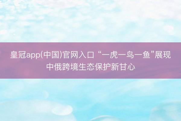 皇冠app(中国)官网入口 “一虎一鸟一鱼”展现中俄跨境生态保护新甘心