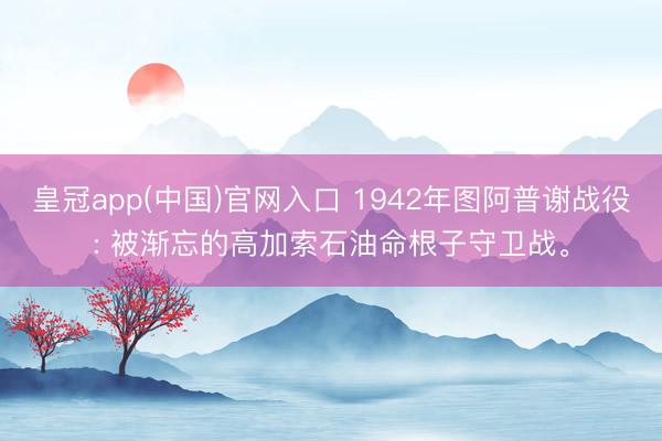皇冠app(中国)官网入口 1942年图阿普谢战役: 被渐忘的高加索石油命根子守卫战。