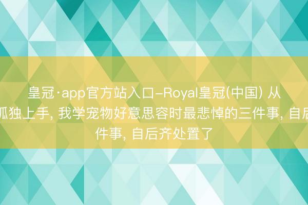 皇冠·app官方站入口-Royal皇冠(中国) 从“小白”到孤独上手， 我学宠物好意思容时最悲悼的三件事， 自后齐处置了