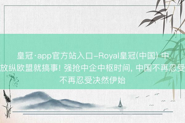 皇冠·app官方站入口-Royal皇冠(中国) 中好意思刚放纵欧盟就搞事! 强抢中企中枢时间， 中国不再忍受决然伊始