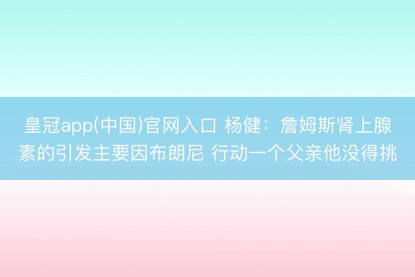 皇冠app(中国)官网入口 杨健：詹姆斯肾上腺素的引发主要因布朗尼 行动一个父亲他没得挑