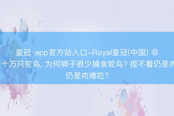 皇冠·app官方站入口-Royal皇冠(中国) 非洲罕有十万只鸵鸟, 为何狮子很少捕食鸵鸟? 捏不着仍是肉难吃?