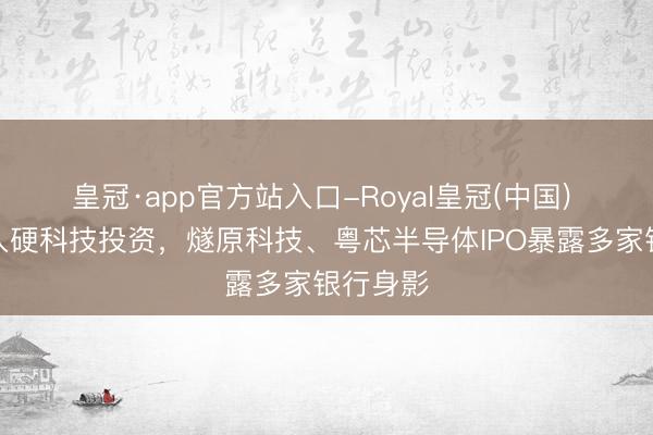 皇冠·app官方站入口-Royal皇冠(中国) 加快切入硬科技投资，燧原科技、粤芯半导体IPO暴露多家银行身影